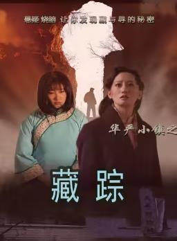 華嚴(yán)小鎮(zhèn)2之藏蹤 海報(bào)