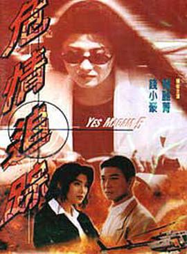 危情追蹤 海報(bào)