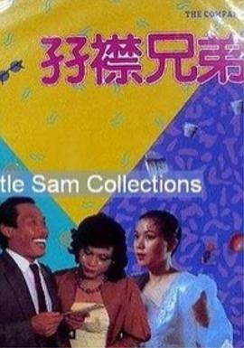雙襟兄弟 海報(bào)
