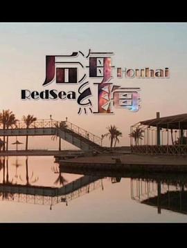 后海·紅海 海報(bào)