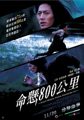 命懸800公里 海報(bào)