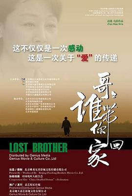 哥哥，誰帶你回家 海報
