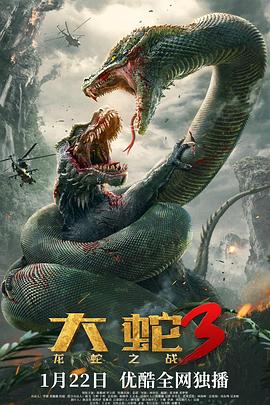 大蛇3：龍蛇之戰(zhàn) 海報