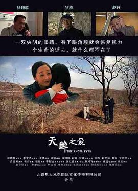 天眸之愛海報