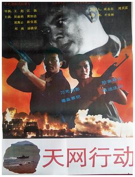 天網(wǎng)行動(dòng) 海報(bào)
