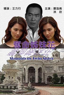 奪命姐妹花 海報
