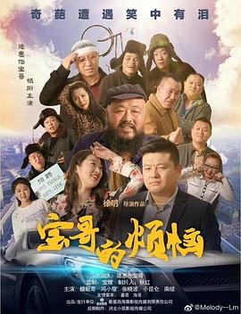 寶哥的煩惱 海報