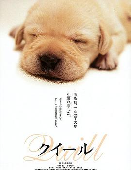 導(dǎo)盲犬小Q 海報(bào)
