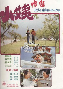 小姨懷春 海報(bào)