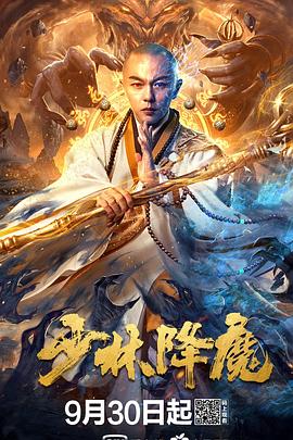 少林降魔 海報