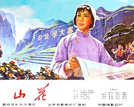 山花 海報(bào)