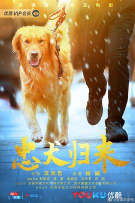 忠犬歸來 海報