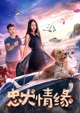 忠犬情緣 海報(bào)