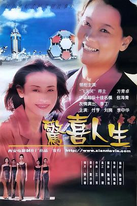 驚喜人生 海報(bào)