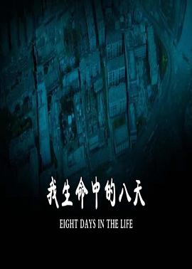 我生命中的八天 海報