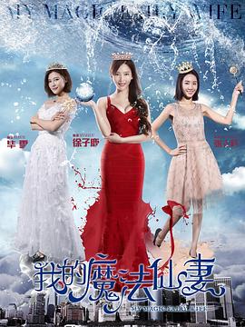 我的魔法仙妻 海報