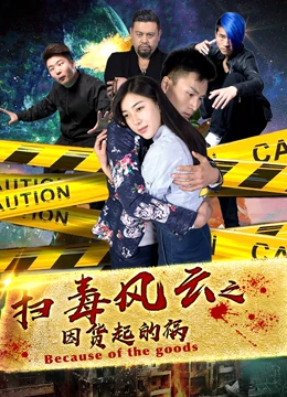 掃毒風(fēng)云之因貨起的禍 海報