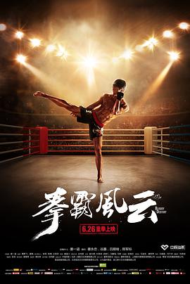 拳霸風(fēng)云 海報(bào)