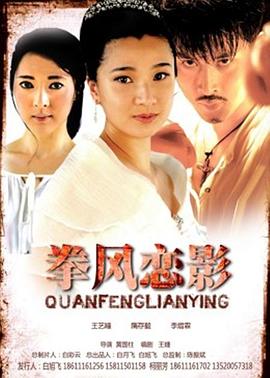 拳風(fēng)戀影 海報