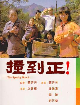 撞到正海報