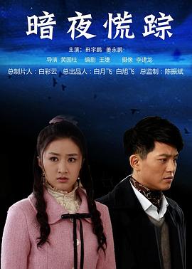暗夜慌蹤海報(bào)