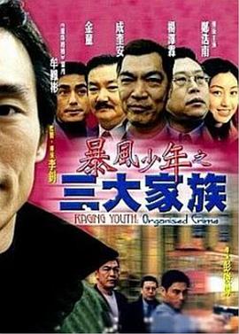 暴風(fēng)少年之三大家族 海報