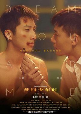 夢(mèng)回少年時(shí) 海報(bào)