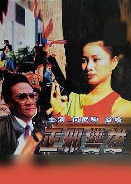 正邪雙雄 海報
