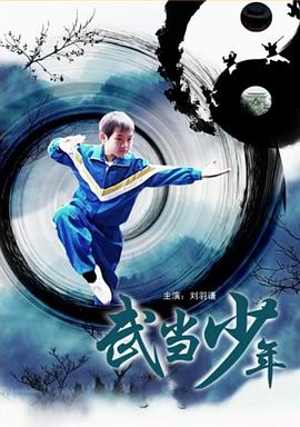 武當少年海報