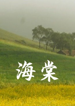 海棠 海報