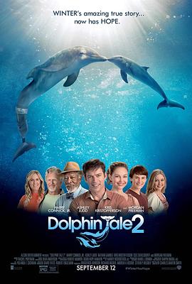 海豚的故事2 海報