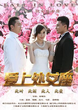 愛上處女座 海報(bào)