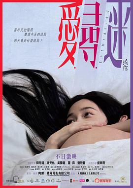 愛尋迷 海報(bào)