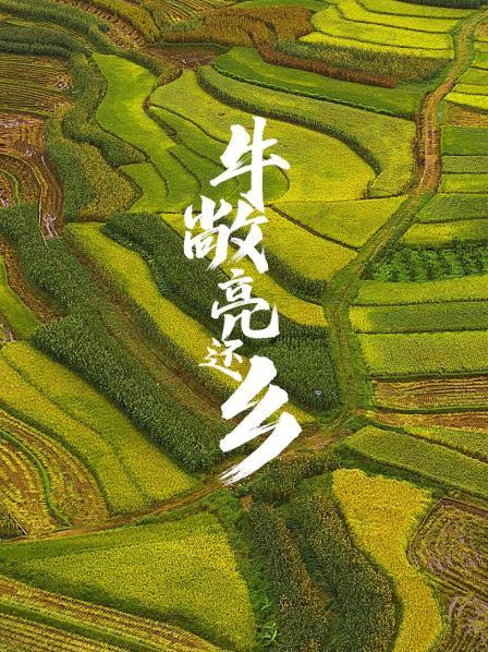 牛敞亮還鄉(xiāng) 海報