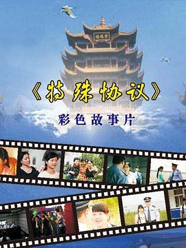 特殊協(xié)議 海報(bào)