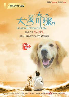 犬愛奇緣 海報