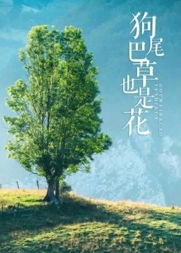 狗尾巴草也是花 海報