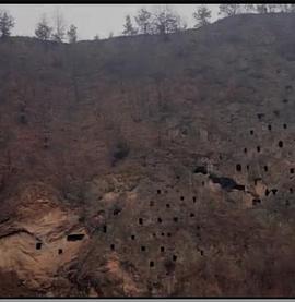 狩獵場·寄死窯 海報
