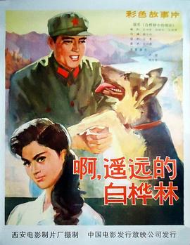 白樺林中的哨所 海報(bào)