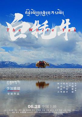 白牦牛 海報(bào)
