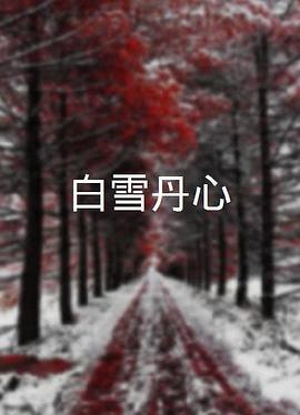 白雪丹心 海報