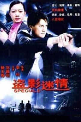 盜影謎情 海報