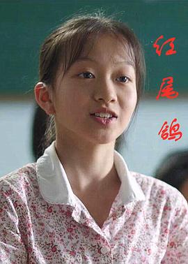 紅尾鴿海報