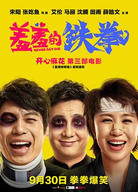 羞羞的鐵拳 海報(bào)