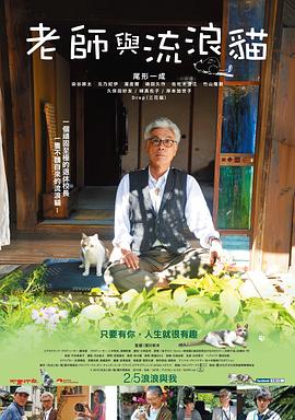 老師與流浪貓 海報