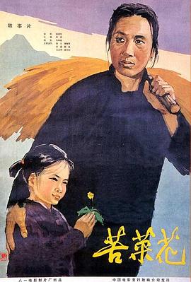 苦菜花海報(bào)