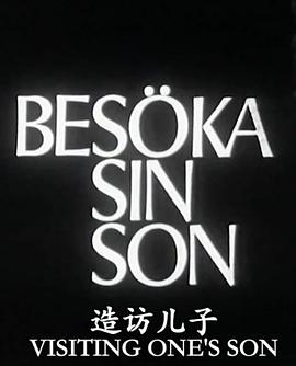 造訪兒子 海報