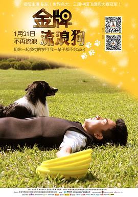 金牌流浪狗 海報