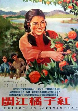 閩江桔子紅海報(bào)