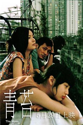 青苔海報(bào)